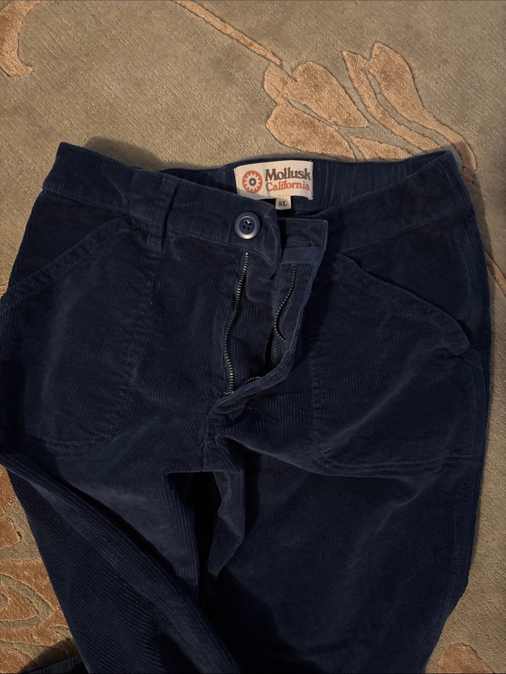Mollusk Blue Corduroy Pants - Picture 6 of 8